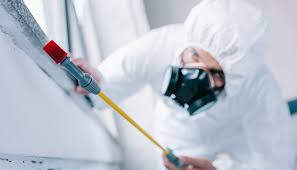 Best Pest Prevention Services  in Bloomington, TX